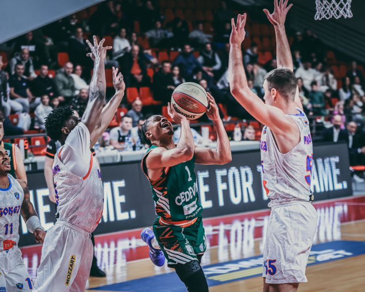 Sudijski haos u ABA ligi: Čak 17 grešaka na utakmici Igokee i Cedevite Olimpije!